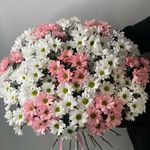 _MARGO_FLOWERS_Tulun - @_margo_flowers_tulun - Instagram