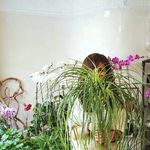 margo flowers - @desertmoon_ - Instagram