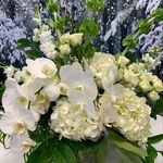 Margo’s Flowers - @margosflowersoakville - Instagram