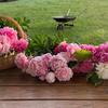 margosflowershop - @margosflowershop - TikTok