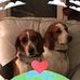 Margot Foley - Facebook