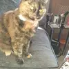 Margo Ford - @margo.ford0 - TikTok