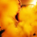 Margo Ford - @margomford - Instagram