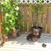 Margo Ford Osmond - Facebook