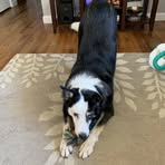Margo Foster - Facebook