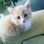 Frank and Margo - @frank._.margo - Instagram
