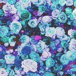 Margo Frank - @frankmargo - Instagram