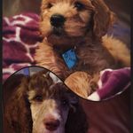 Winnie & Margo Friedman - @winnie_margo - Instagram