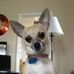 Margo Hamilton - Facebook