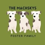 Grover. Carl. Margo. Howard - @machskyfosterfamily - Instagram