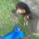 Margo Howard - @sagmoonlilfe39 - Instagram