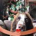 Margo Hughes - Facebook