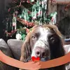 Margo Hughes - @margo.hughes6 - TikTok