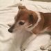 Margo Hunter - Facebook
