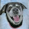 Margo - @margo_retrieverhuskey - TikTok