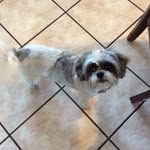 💕Margo Jackson💐 - @margojackson1953 - Instagram