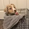 margo_june - @margojune123 - TikTok