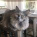 Marge Katz - Facebook