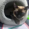 Margo Katze - @margo.katze - TikTok