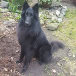 margo - @margokempen - Instagram