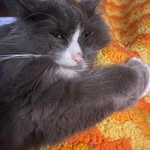 Margo Klein - @margo.klein.chicagorealtor - Instagram