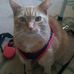 Margo Knowles - Facebook