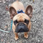 Koch Margot - @kochmargot2 - Instagram