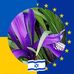 Margo Enyedi Koch - Facebook