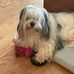 Margo Koehler - Facebook