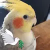 margo kramer freher - @margo.kramer.freh - TikTok