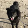 Margot Kramer - @margotkramer48gmail.com1 - TikTok