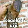 margolawulerengse - @margolawulerengse - TikTok