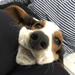 Margo Dogivares - @margolongbody - Instagram