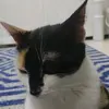 Margo Mills - @margo.mills89 - TikTok