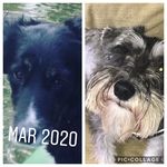 Margo And Mossy - @margo_mossy - Instagram