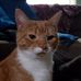 Margo Odom - Facebook