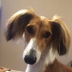Miss Poppy Margo Oliver - @misspoppymargo - Instagram