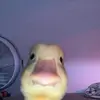 Margoott - @margoott.__ - TikTok