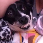 Margot Ravelli Doratiotto - @margotravellidoratiotto - Instagram