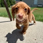 @margo_owens_256 - Instagram