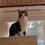 Margo Park - @pipskweek_and_pals - Instagram