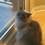Margo Paul - @margolpaul - Instagram