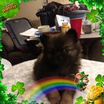 Margo Payne - @marg2o5 - Instagram