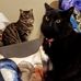 Margo Perkins - Facebook