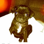 Margo Perry - @margo_the_margotron - Instagram