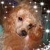 Margo Phillips - Facebook