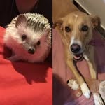 Margo&Piper - @margopiperlife - Instagram