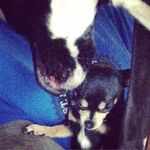 @piper_and_margot - Instagram