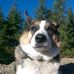 Margo Polley - Facebook
