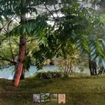 Maŕgo Pónçe - @margoponce39 - Instagram